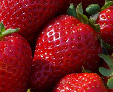 strawberry_currant_recipe.jpg